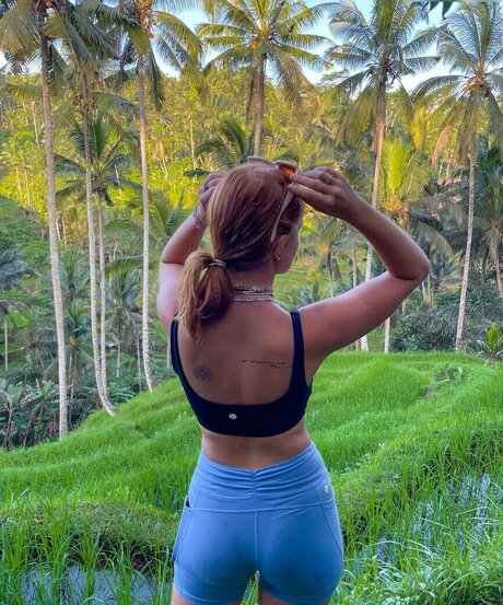 gringerliner model high quality picture