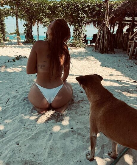 gringerliner star high quality photos