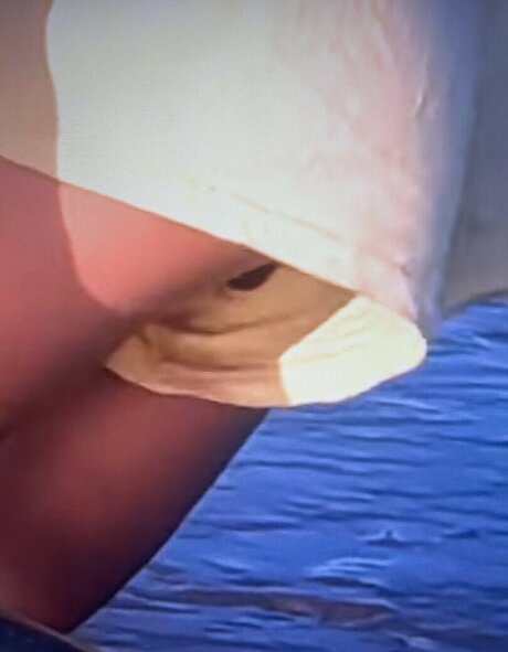 latina shemale onlyfans beautiful xxx photos