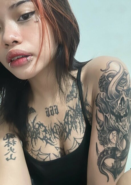 zems3lling star nice galleries