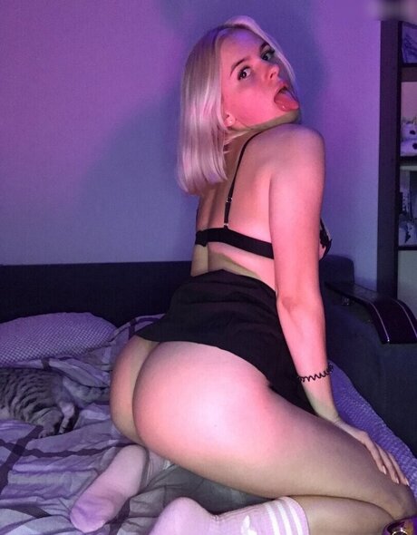 Mira David star free photo