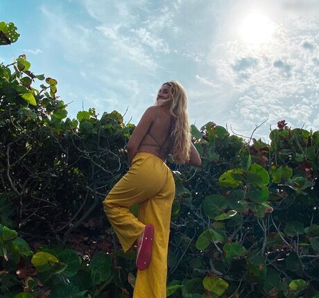 julie tirado pornographic actress image