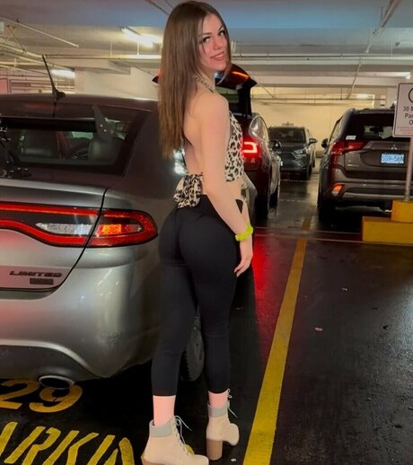 Zion Diamond model high quality gallery