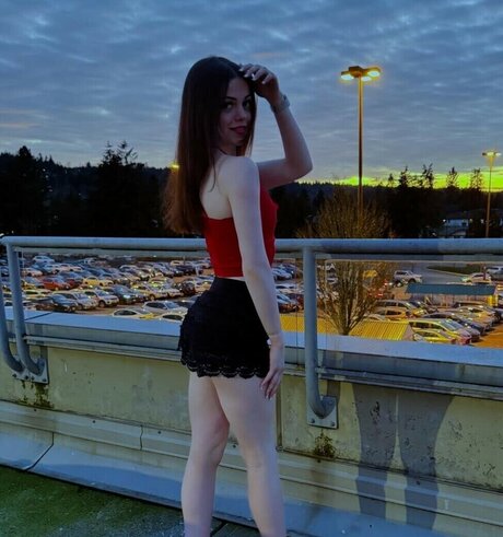 Zion Diamond star top photos