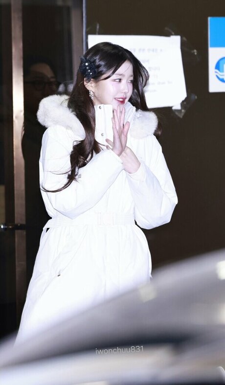 Jang Won young top star photo