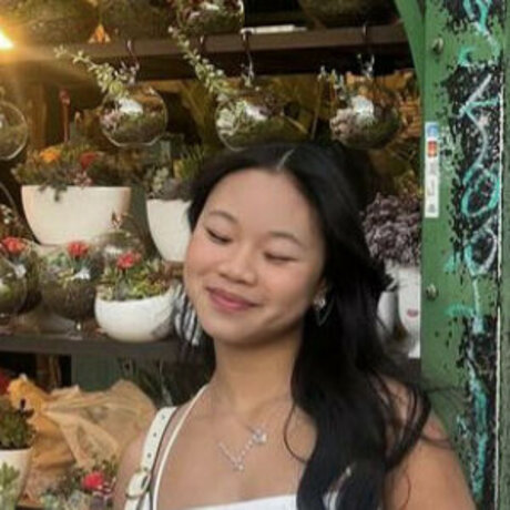 Sa nguyenn free star galleries