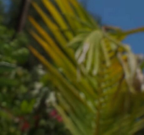 VelicityVon pretty actress images