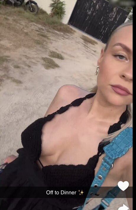 Dagi Bee model high quality img