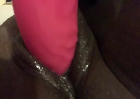 Juicy Couture hot pornstar image