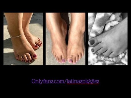 Latina s Piggies nice pornstar photo