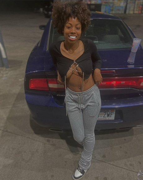 Lai best model archive