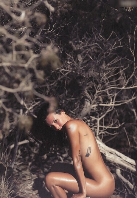 dmv onlyfans adult archive