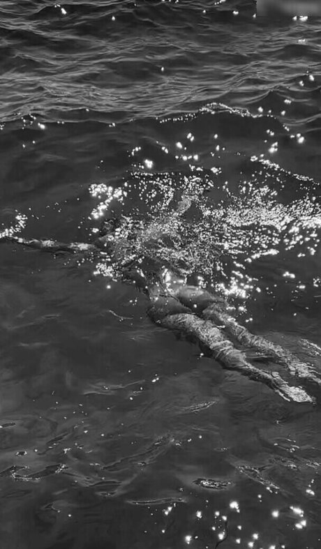 bbc ebony onlyfans sexy xxx pictures