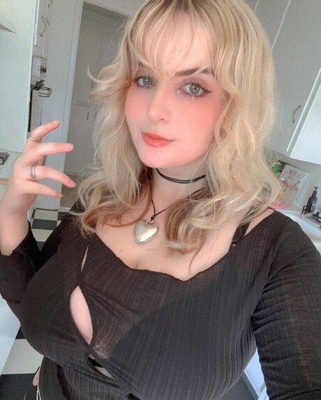 van life onlyfans top img