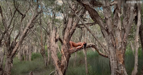 Sophia Chiara model xxx archive