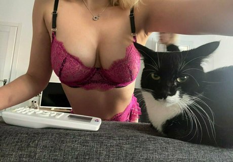 hollymoonvvip nudes pornstar galleries