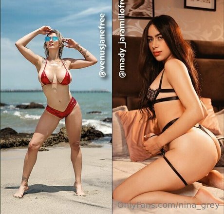 nina grey star free photos