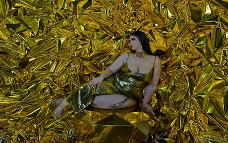 bbc blowjob onlyfans free porn archive