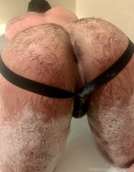 briefsbull free pornstar gallery