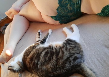 dollarstorejuice model top galleries