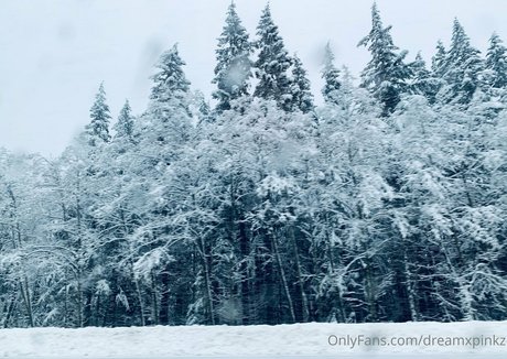 dreamxpinkz naked pornstar archive