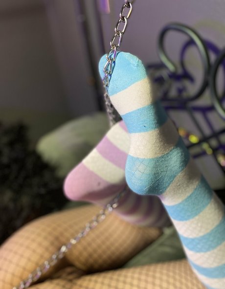 senchafox star free archive