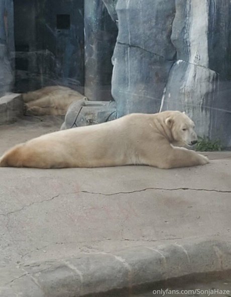 squat onlyfans xxx photo