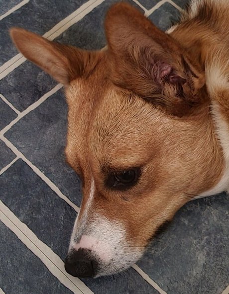 bikini ginger onlyfans sex gallery