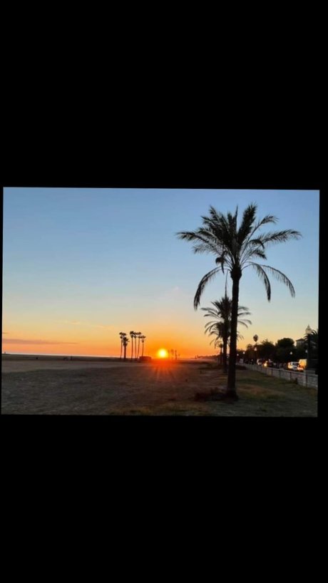 LeiLo high quality star pic