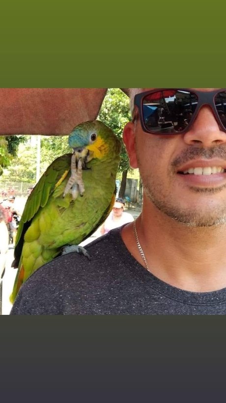 Marcello Rio de janeiro perfect actress pictures