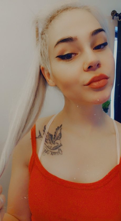 Lamb model top photos