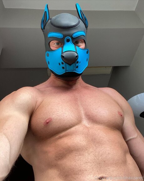 Max Zarec XXL star top image