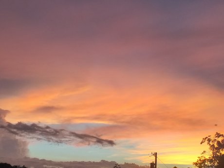 joi onlyfans exclusive gallery