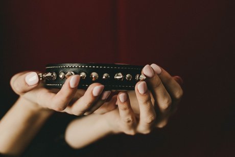 Lady Meredith high quality star galleries