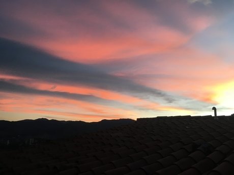 avila Medellin model adult pictures