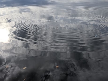 Moon Heart pornographic star gallery