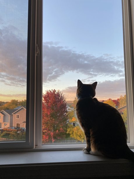 Feets R Us hd pornstar photo