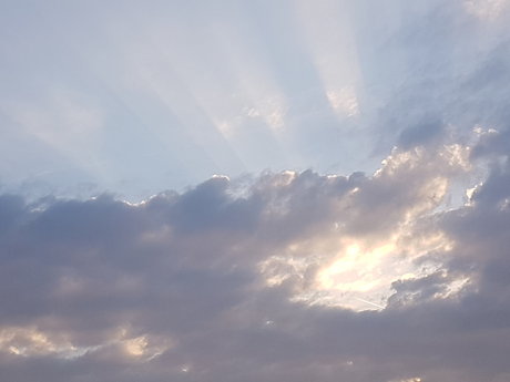 Moe Pearce star pretty picture