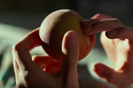 Mocha Pound Cake perfect star archive