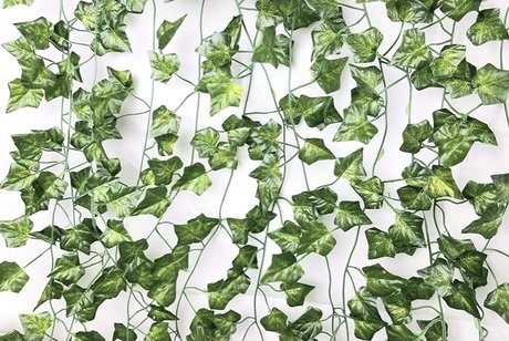 Care star sexy image