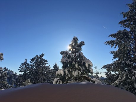 Nate Oakley pornstar hd picture