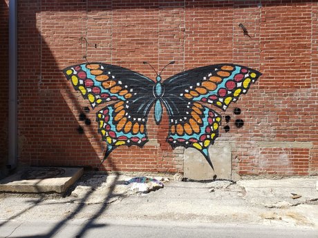 Rachel Smallwood pornstar beautiful picture