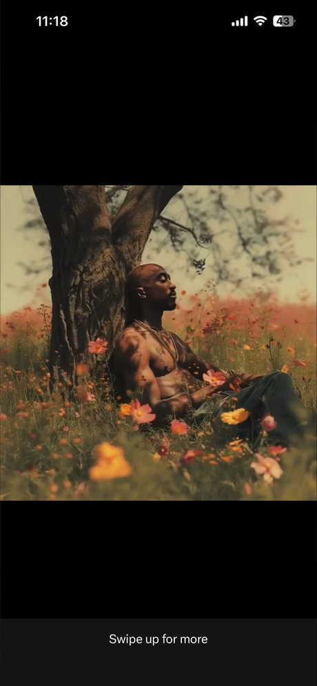 Miss Slayz Amiri B_ star best img