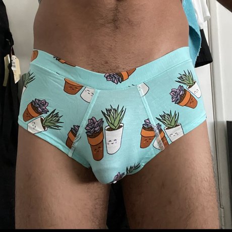 Mrcockabilly top actress picture