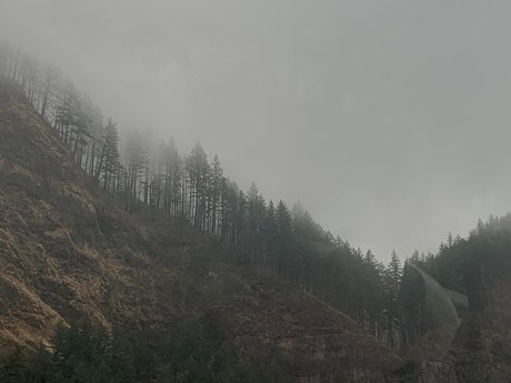 shemale fucks girl onlyfans sexy xxx archive