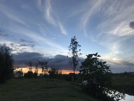 Daniela Maria high quality star picture