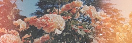 chubby babe onlyfans hot xxx gallery