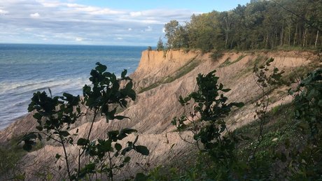 Niceguy013 erotic pornstar photos