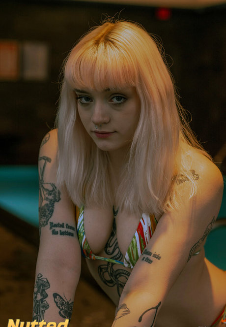 bigsexy films adult model images