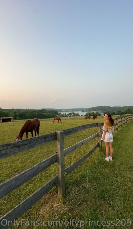 elfyprincess209 pornstar hd archive